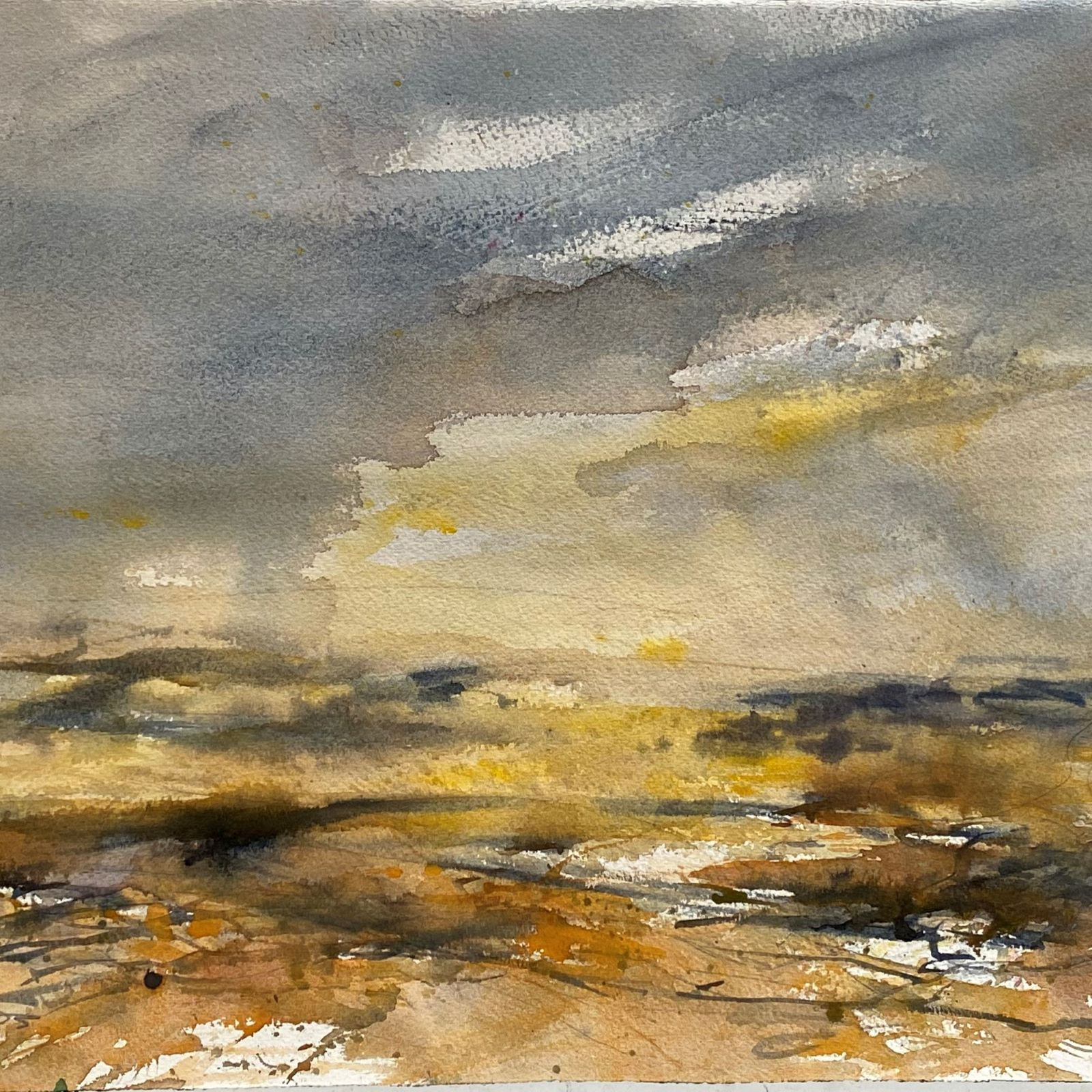 Sunlight on the moors 